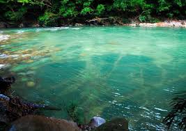 Tour Río Claro desde Medellín - Aventura y naturaleza